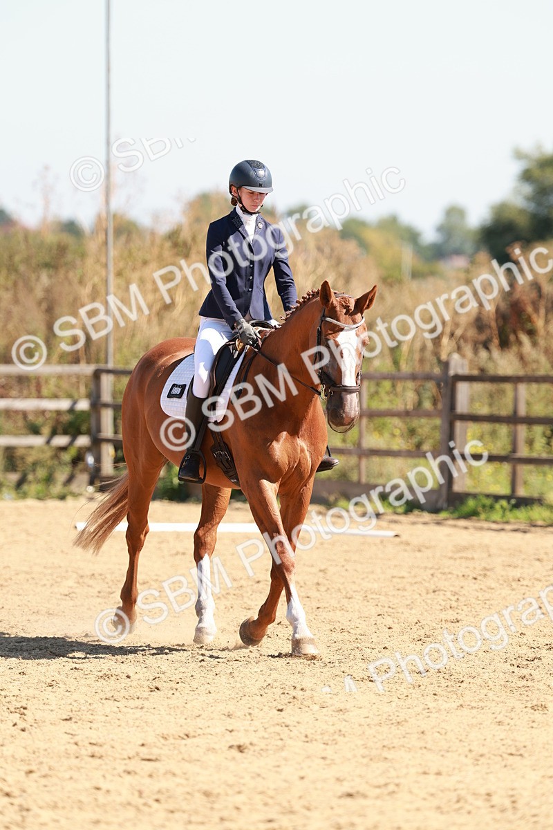 SBM_011076 - Class 6 - Novice 1