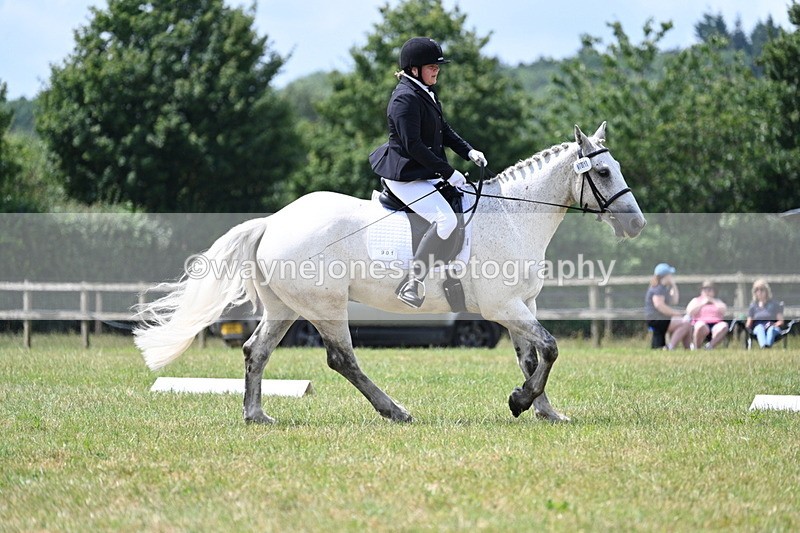 WJ7_4955 - Time 11:22 to 11:51