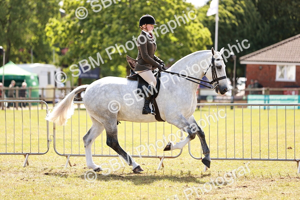 SBM_14015 - Class 85-87 - RIHS Cobs