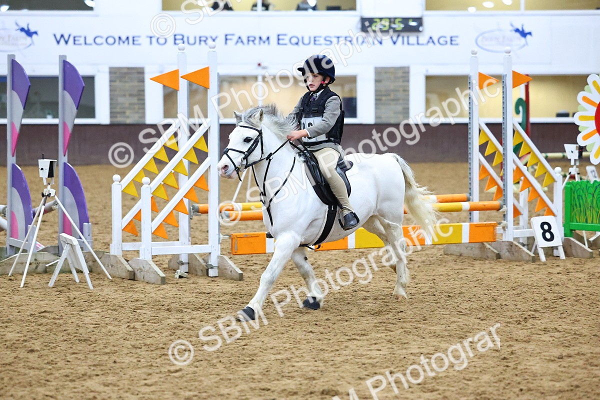 SBM_001434 - Class 3 - Christmas Tree Stakes - 60cm