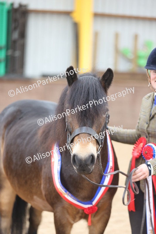 20251109-0701 - Championship