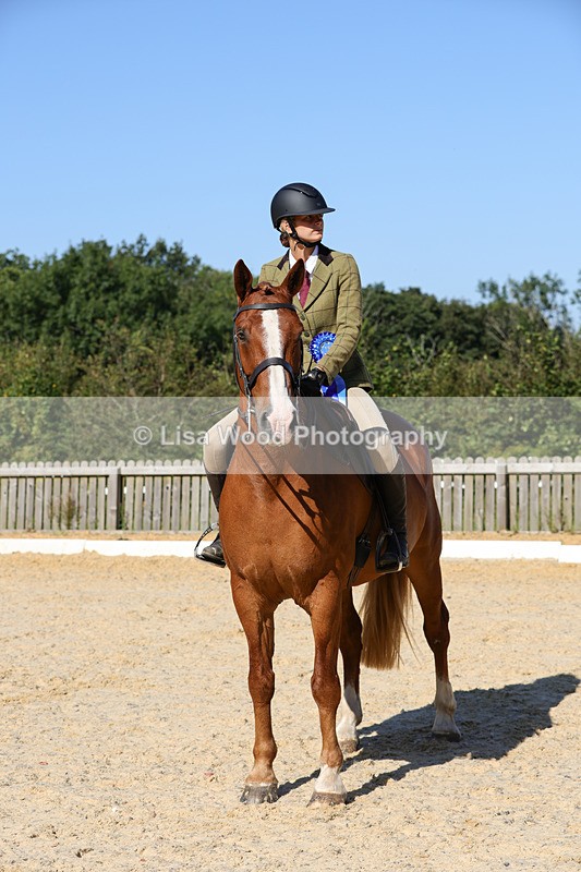 1X9A7839 - Class 9: Open Ridden Hunter