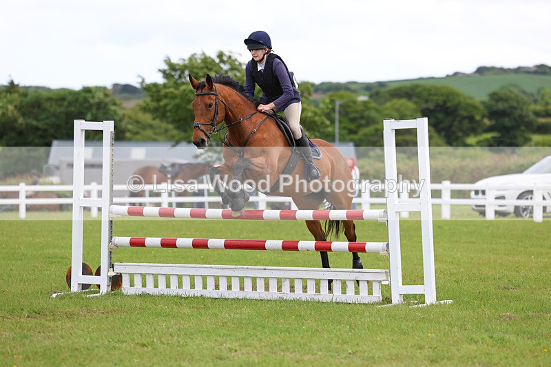 3E7A7800 - Class 13: Senior British Novice/90cm open