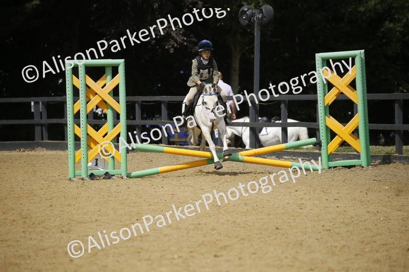 20250622-3962 - 50cm