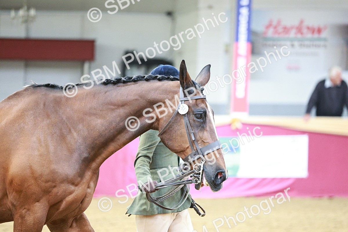 SBM_04830 - Class 7R - Regional IH Diamond