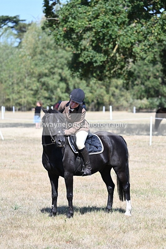 WJ7_4102 - Class 9 Mountain & Moorland Ridden
