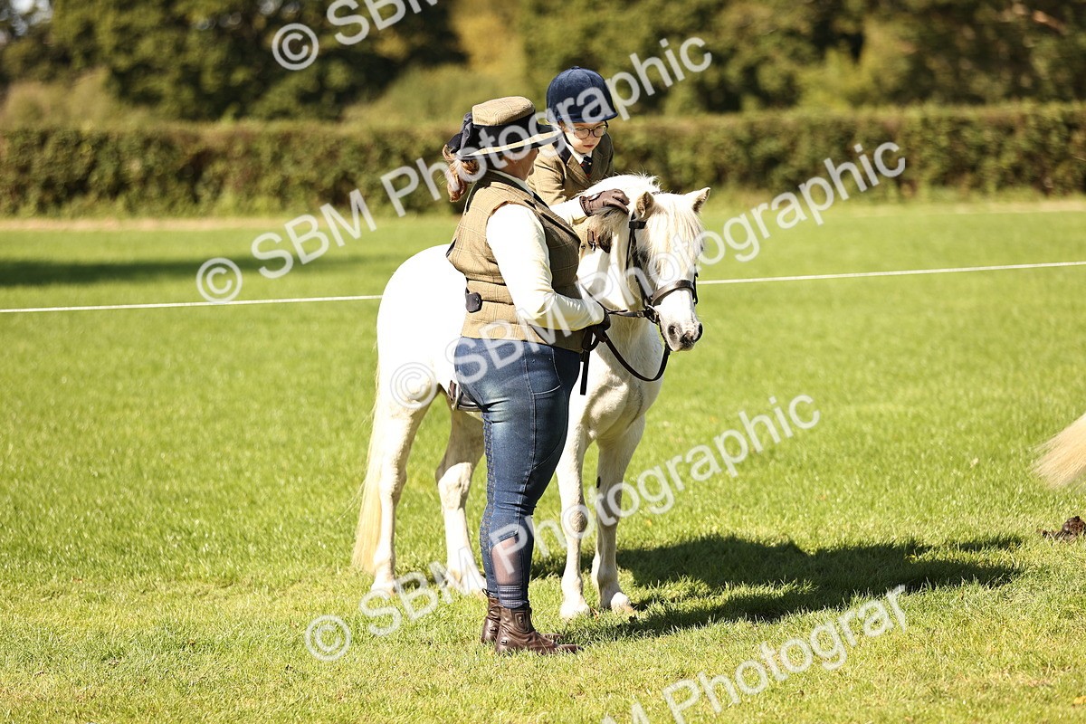 SBM_19323 - S3 - TSR Ridden Pony Showing