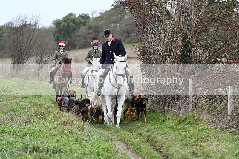 WJ7_0815 - First Seen