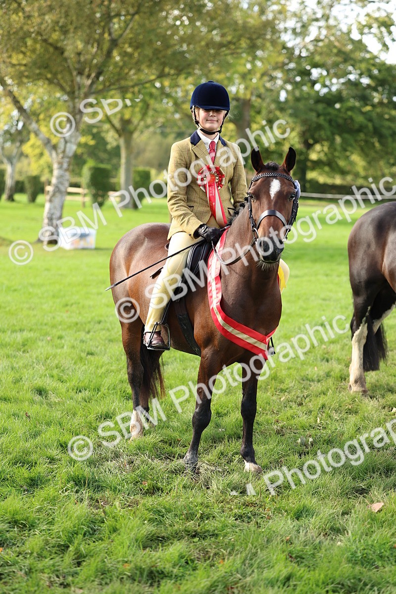 SBM_46396 - Working Hunter Pony Supreme Championship