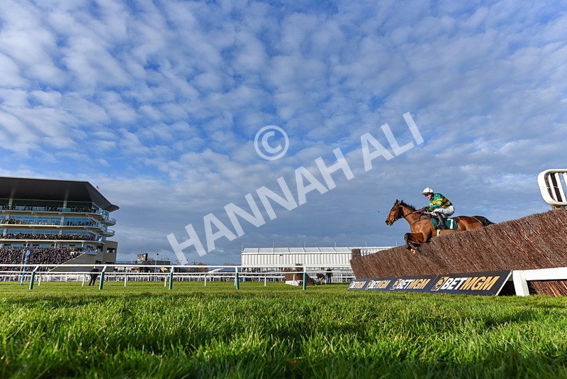 141224-Race 4-In Excelsis Deo-9426 - Race 4