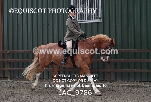 JAC_9786 - CLASS 2 Novice Working Hunter (0.60m - 0.70m)