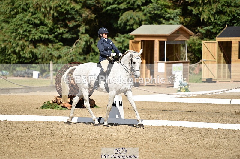 140110A-051128-12406 - 161-Alison.Zuend-Il.Danubio