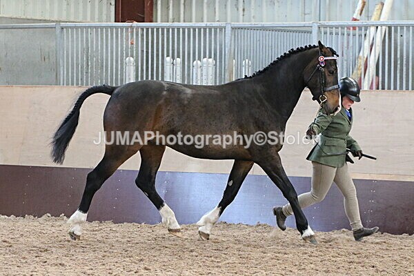 SIAL9674 - Indoor Classes