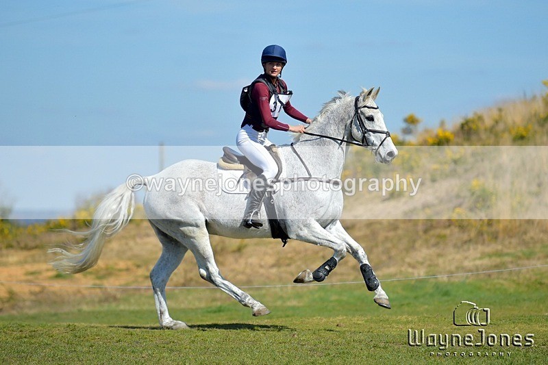 NGP_8724 - Edited examples..