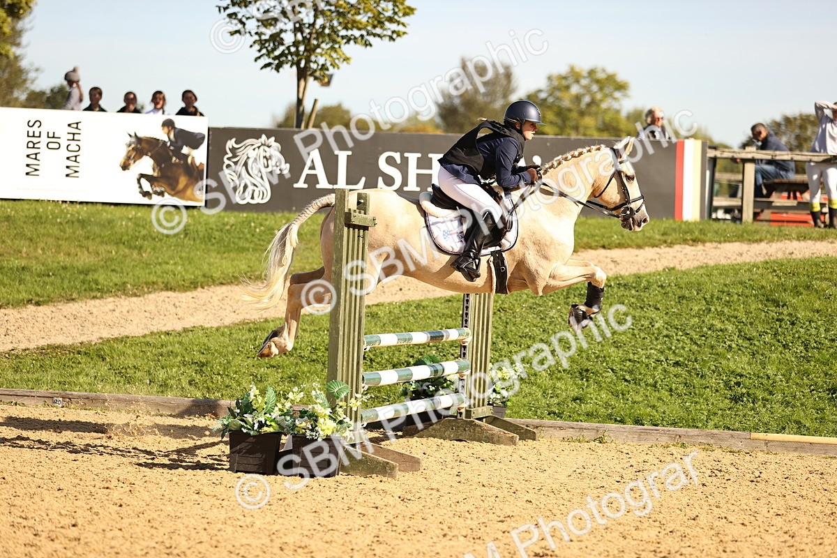 SBM_38048 - J39 - Senior 85cm Championship