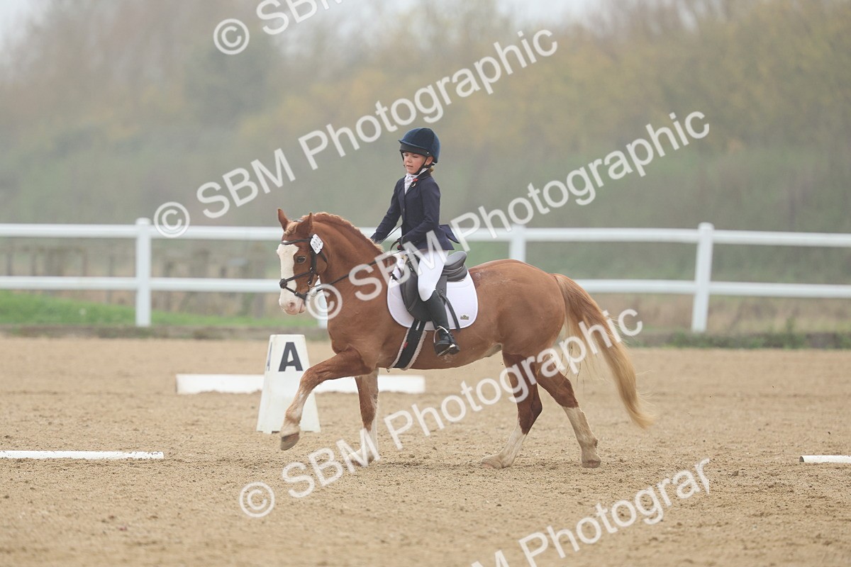 SBM_001173 - Class 3 - Prelim 13