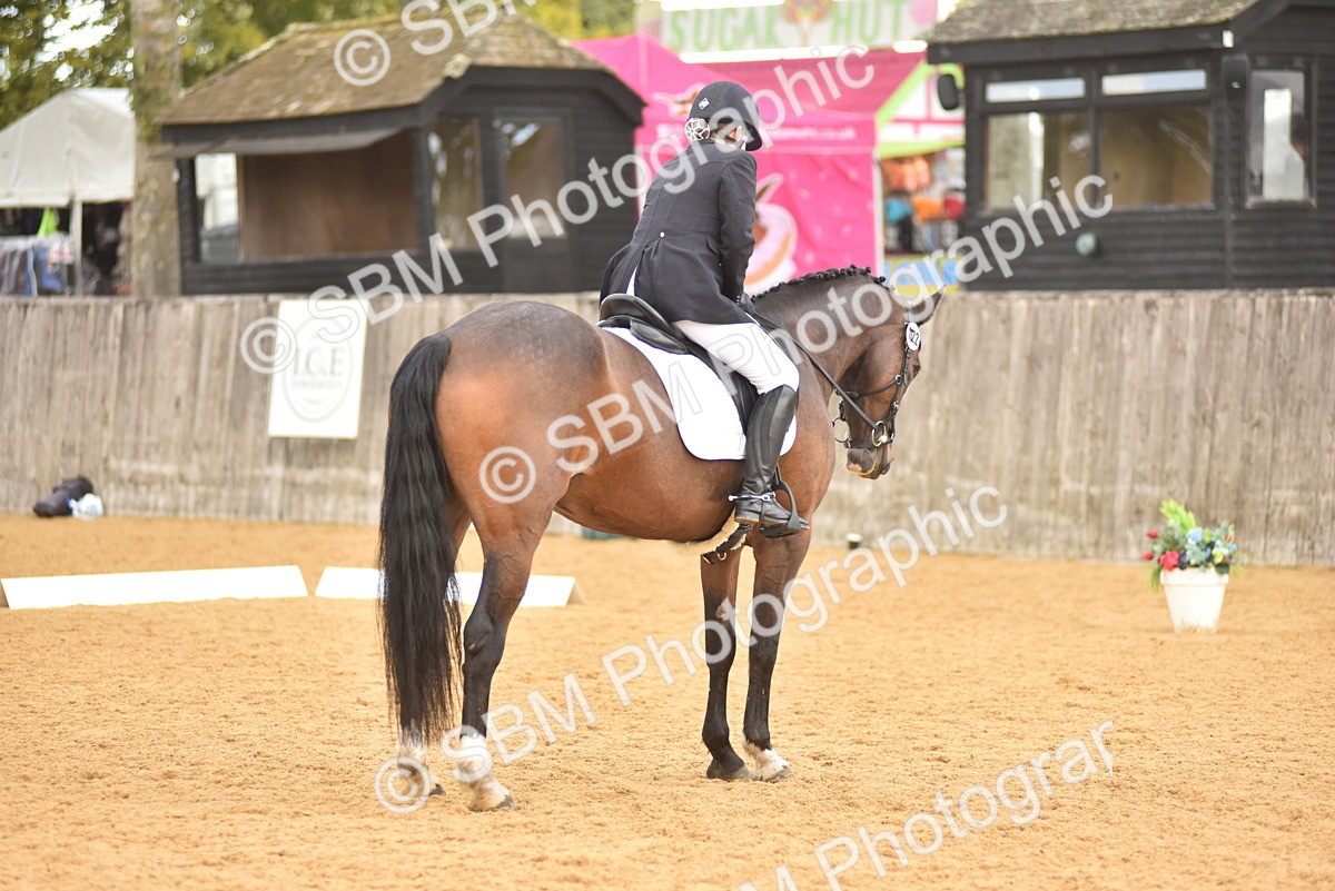 SBM_10233 - D15 - Small Tour Championship Novice 1