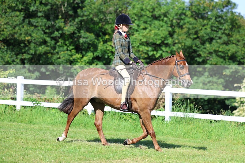 3E7A5968 - Class 27: Novice Working Hunter Pony