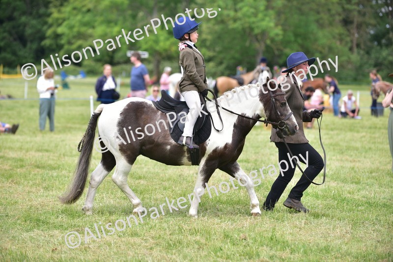 20260614-1394 - Class 11b - Lead Rein Pony (Plaited)