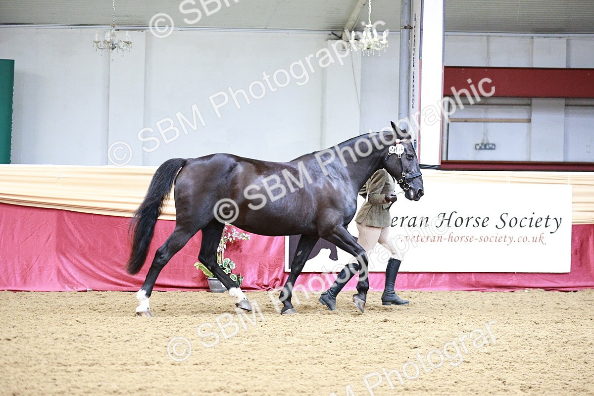 SBM_00907 - Class 2A - Area IH Veteran