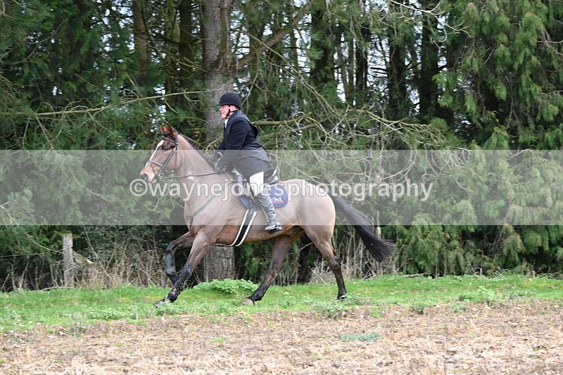 WJ6_9745 - Line Four