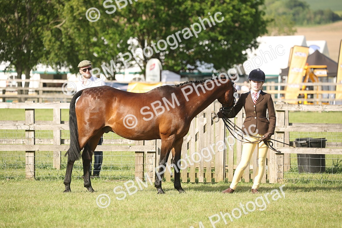 SBM_10471 - Class 33-38 - SSADL RIHS Qualifiers