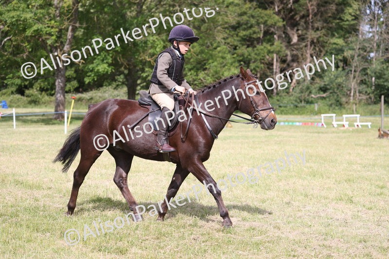 20260614-0514 - Class 20 - Beginners Working Hunter Pony