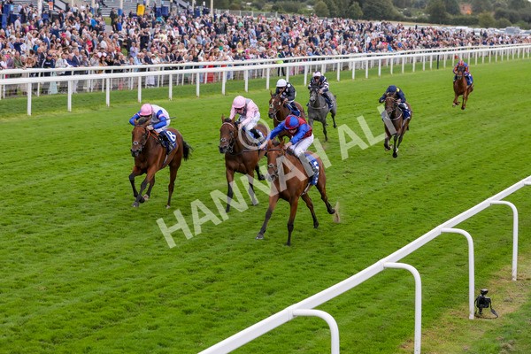 220824-Race 4-Content-7695 - Race 4 3.35pm Pertemps Network Yorkshire Oaks