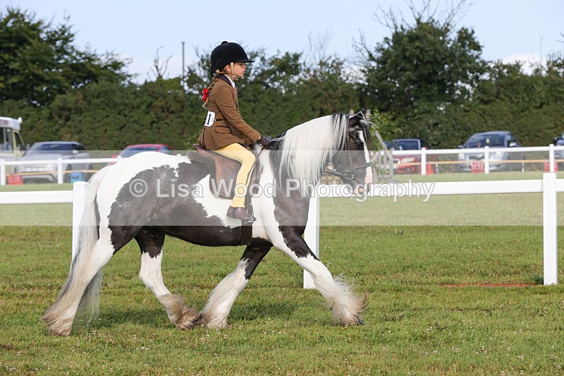 1X9A3186 - Class 28: Ridden Native/Trad Coloured Pony