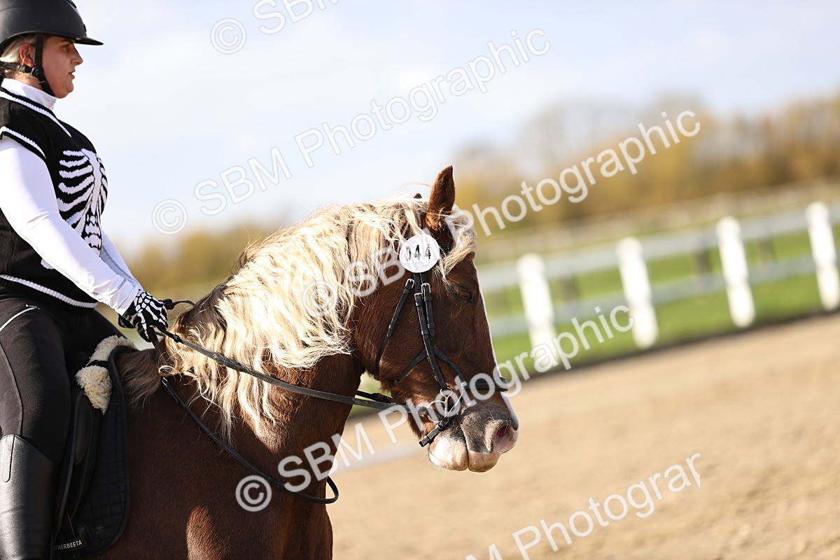 SBM_001308 - Class 2-4 - Intro 1 Intro 3