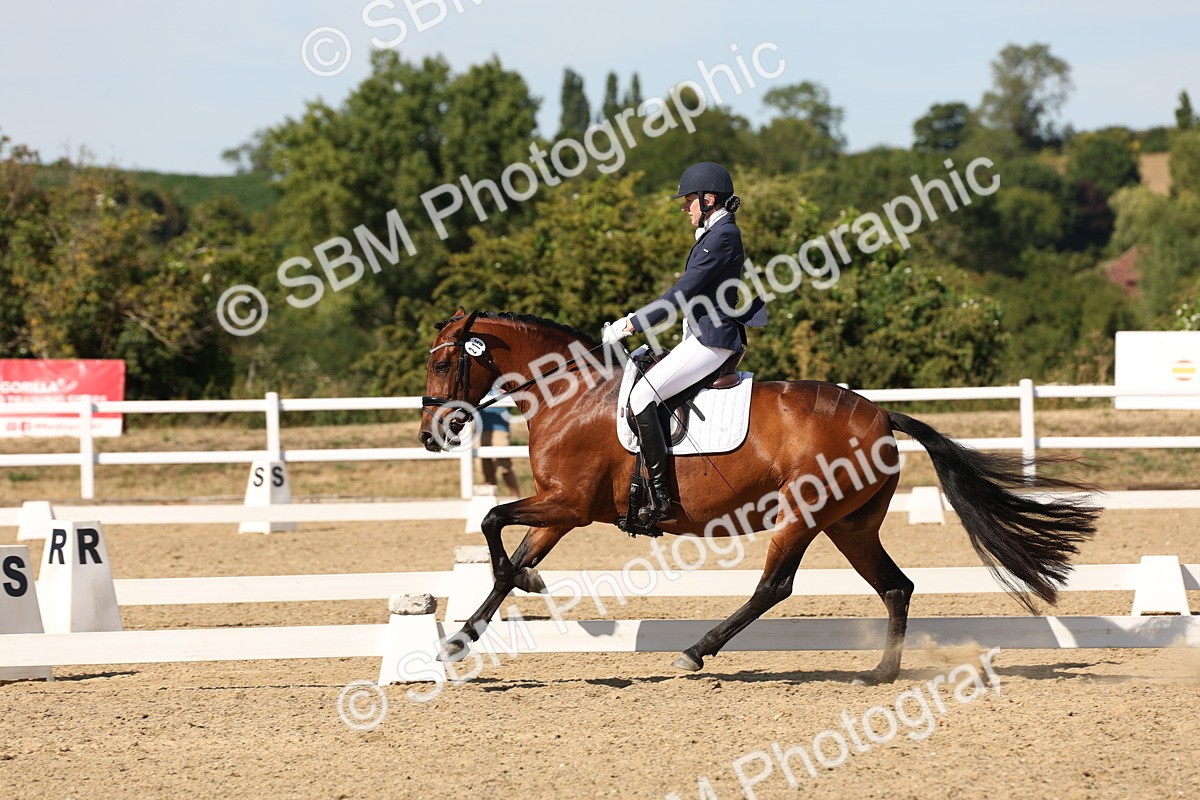 SBM_003816 - Elementary 4