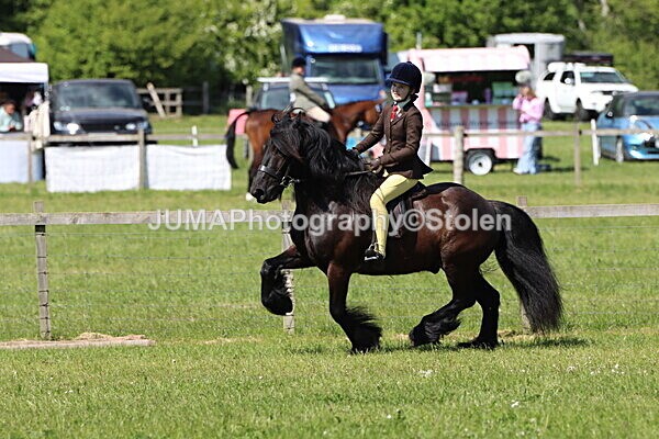 IMG_4304 - Working Hunter
