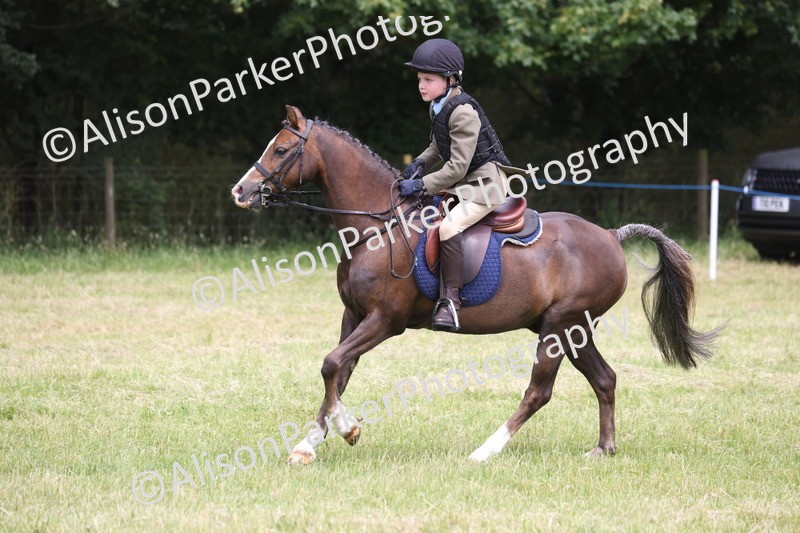 20260614-2872 - Class 22 - Open Working Hunter