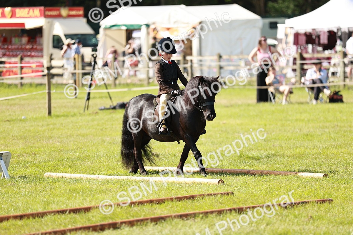SBM_12590 - Class 106-107 - BSPS LIHS Working Sports Pony