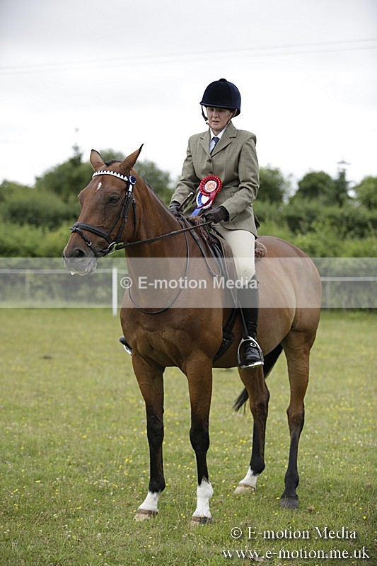 BVR160717-482 - Ring 1 BVRC Show 16/07/17