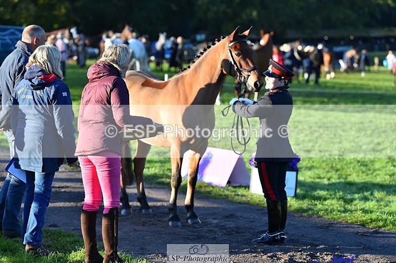 231022-085332-21428 - 614-MICRON.JOY-Ellie.Mitchell-TrotUp+SJ