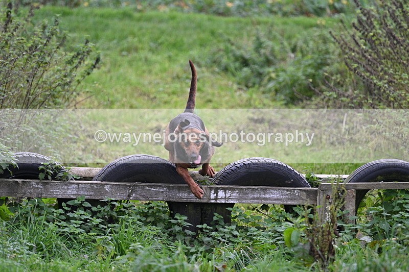 WJ7_8946 - Camera 1 only on this line