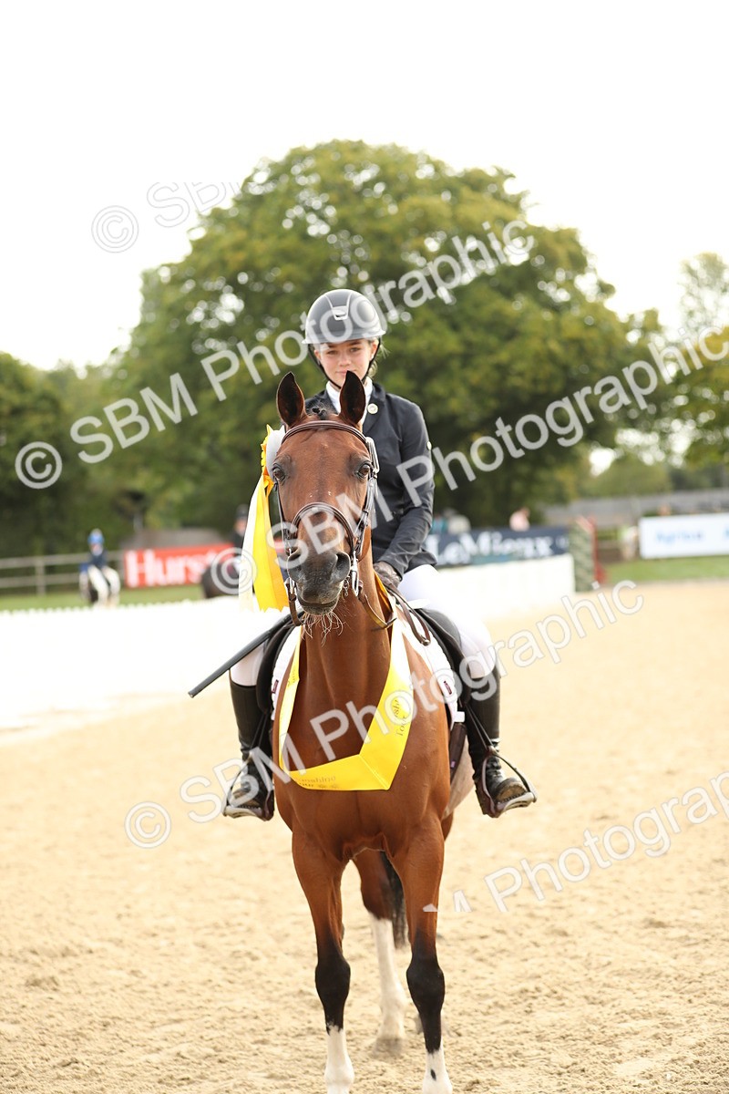 SBM_56184 - J24 - Junior Horse 75cm Championship