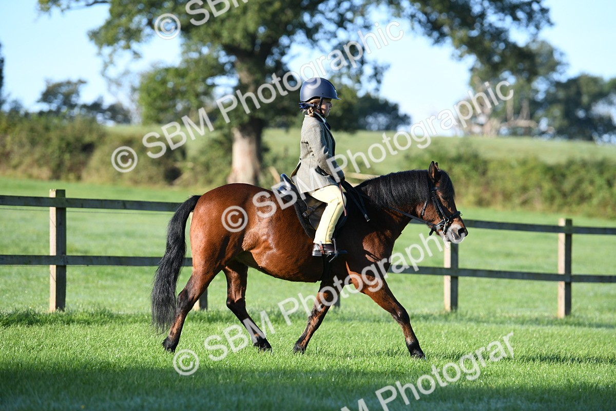 SBM_33925 - S16 - Condition & Turnout - Ridden