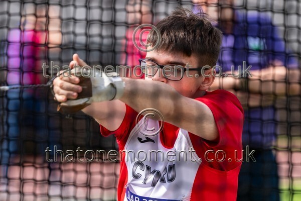 SIAB23-514831 - Field Male Set One