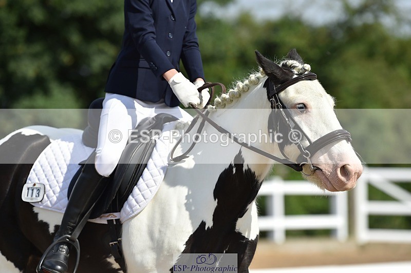 250622-094826-12851 - Quest Cls 19-24 Intro Tests