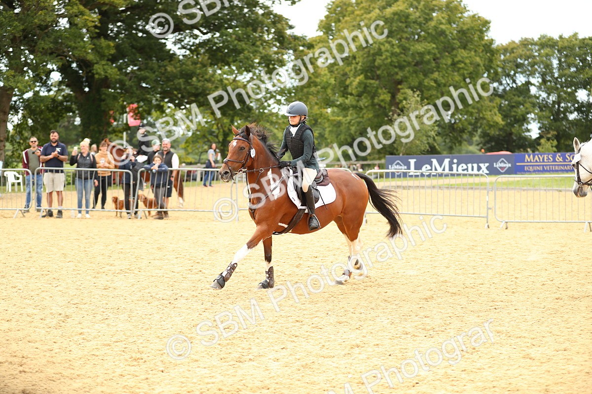 SBM_71378 - J18 - Junior Pony 85cm Championship