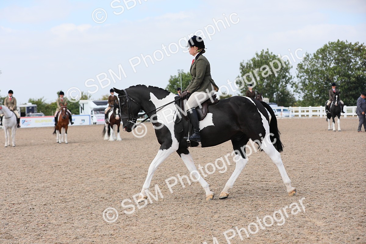 SBM_13471 - Class 308 Ridden Coloured Horse