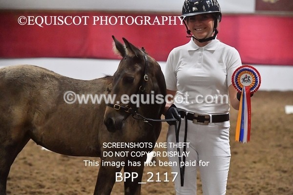 BPP_2117 - AFTERNOON 12.30 - 3.30PM