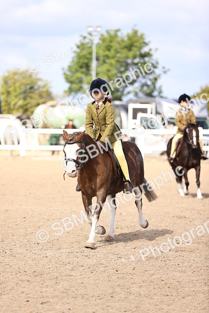 SBM_11599 - Class 408 - Grassroots Ridden - Walk & Trot