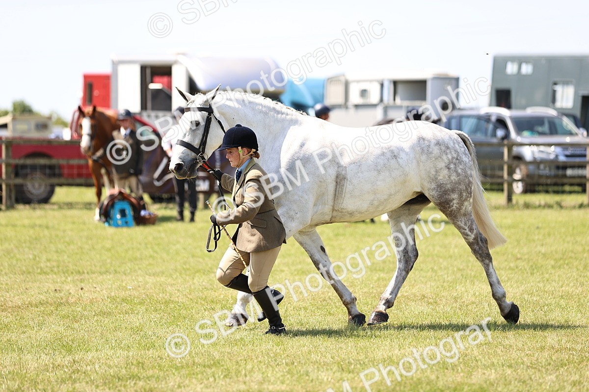 SBM_15218 - Class 79-80 - LIHS BSHA Rising Star Ridden Hunter