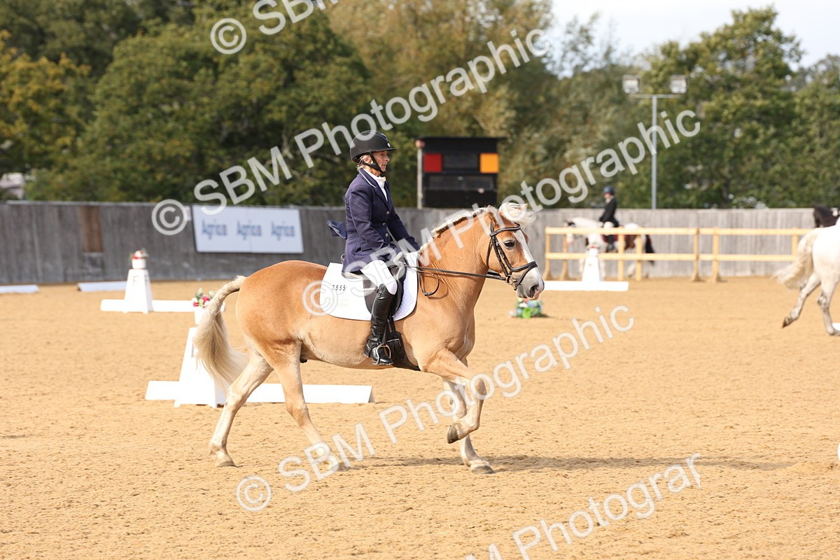 SBM_24617 - D17 - Grand Tour Championship Novice 3