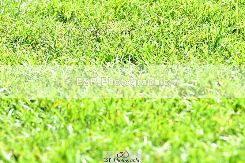 230707-101100-06329 - Cls 12 Foxhunter