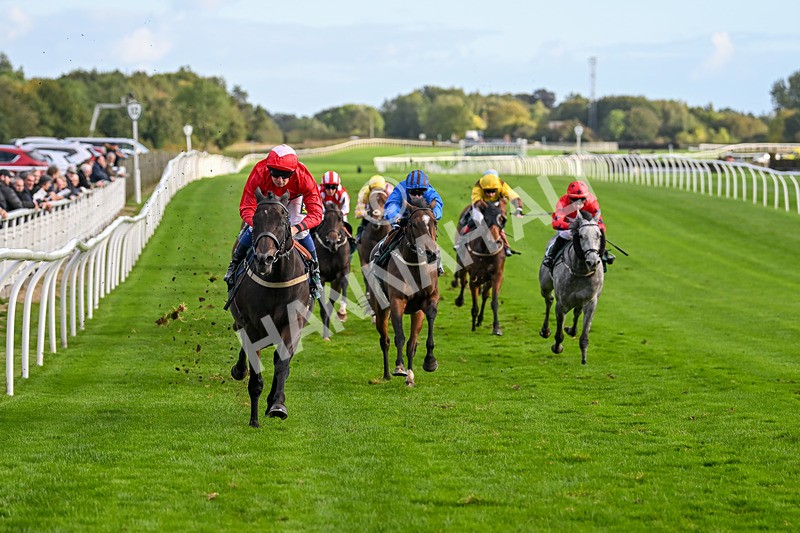 021024-Race 6-Redrosezorro-9640 - Race 6