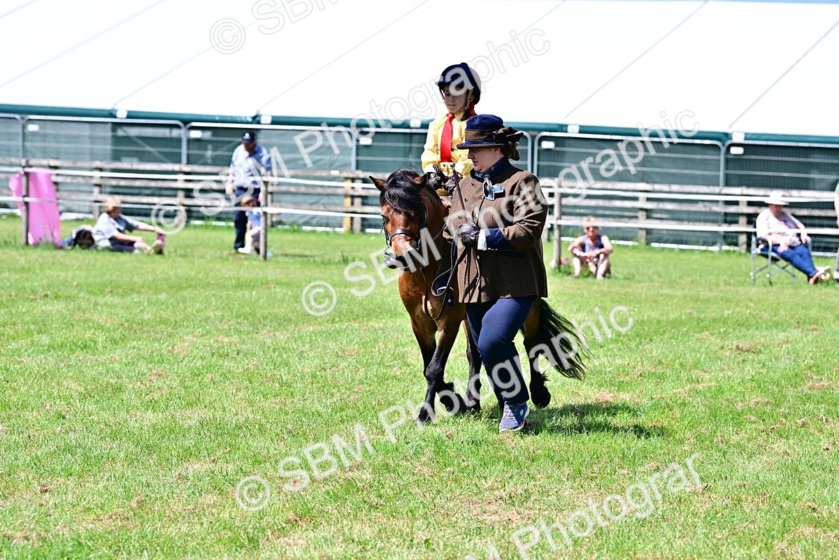 SBM_05897 - Class 59-60 - TSR M&M  Lear Rein and First Ridden Amateur of the year